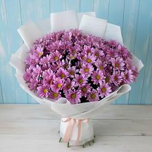 Букет цветов из:  Хризантемы в Кировской