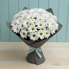 Букет цветов из:  Хризантемы #REPLACE_PRED# Кировской